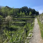 La Libraia
